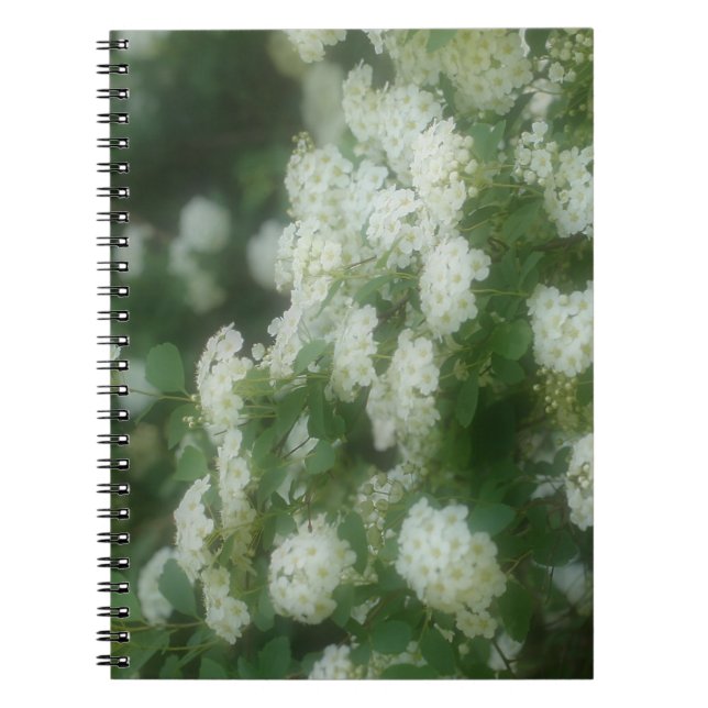 Dreamy Wild White Roses Flower Nature Notebook (Front)