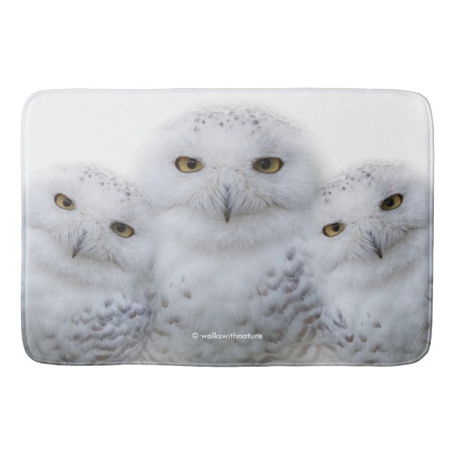 Dreamy Wisdom of Snowy Owls Bath Mat (Front)
