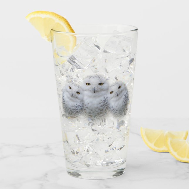 Dreamy Wisdom of Snowy Owls Family Glass (Front Ice)