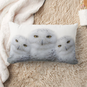 Dreamy Wisdom of Snowy Owls Family Lumbar Cushion