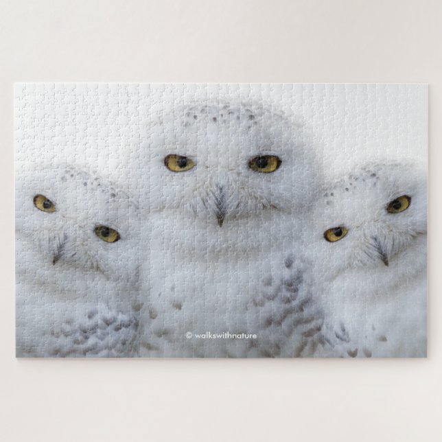 Dreamy Wisdom of Snowy Owls Jigsaw Puzzle (Horizontal)