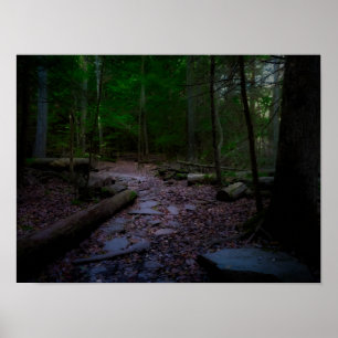 Dreamy Woodland with Rock Trail Poster