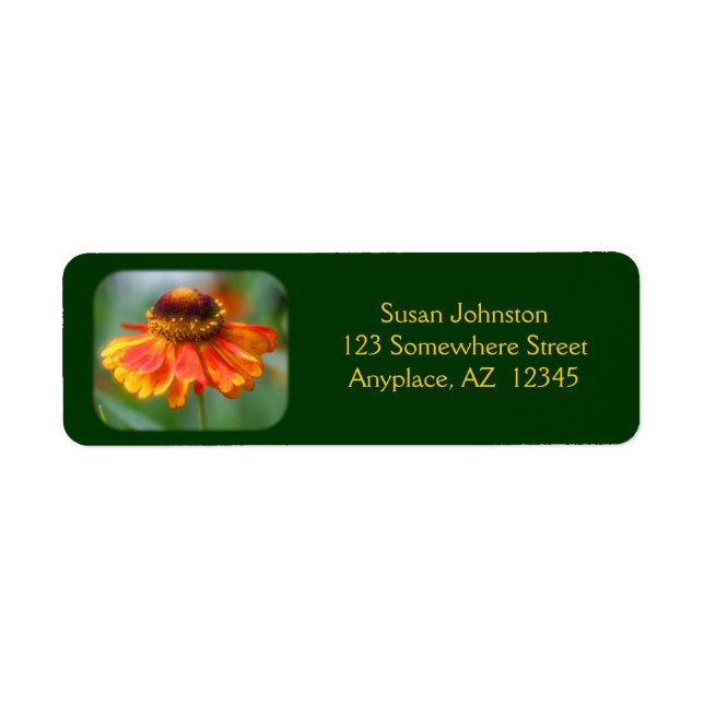 Dreamy Zinnia Flower Address Label Return Address Label (Front)