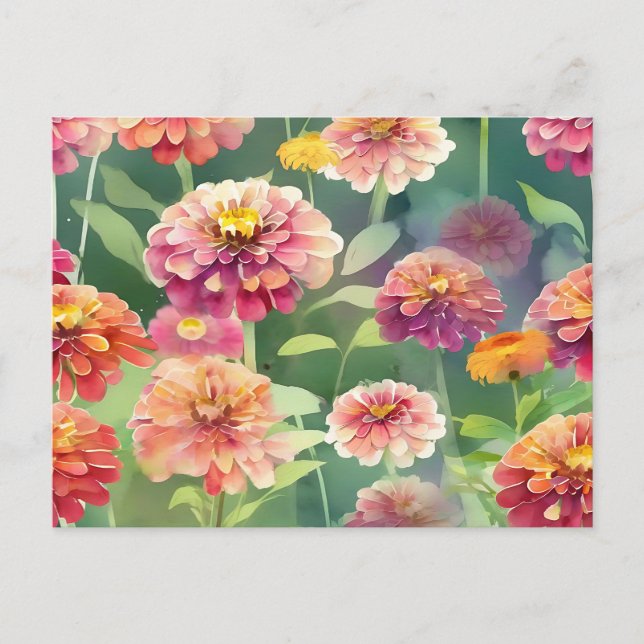 Dreamy Zinnia Flowers Postcard (Front)