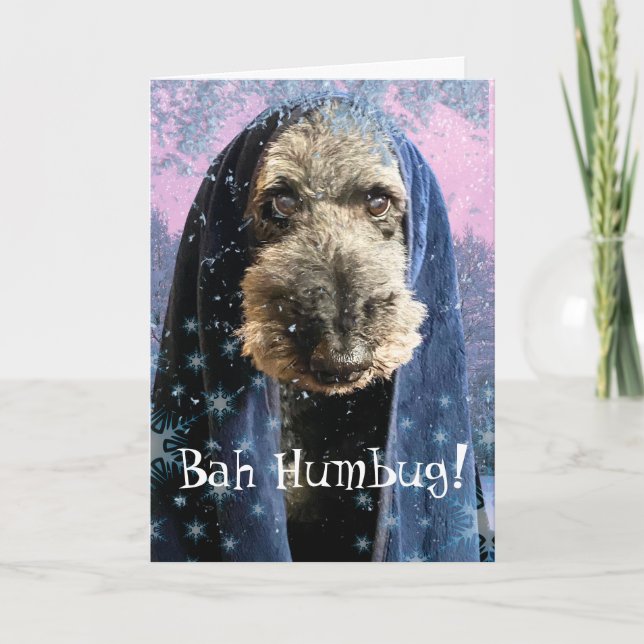 Dreary Christmas Bah Humbug Schnauzer  Card (Front)