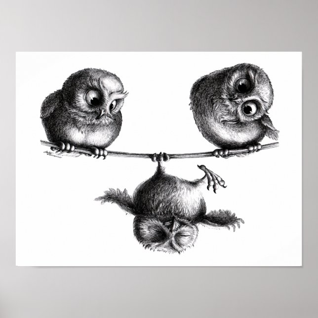 Drei Eulen Freiheit und Spass Poster (Front)