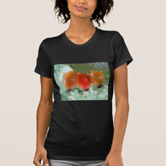 Drei orange Hagebutten T-Shirt