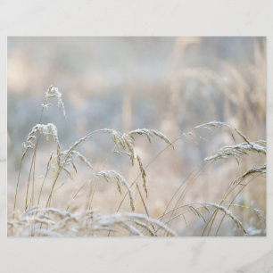 Dremy Winter Nature Scrapbook paper