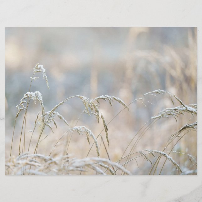 Dremy Winter Nature Scrapbook paper (Front)