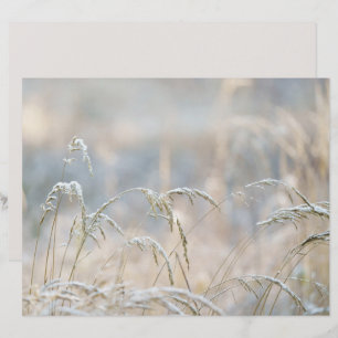 Dremy Winter Nature Scrapbook paper