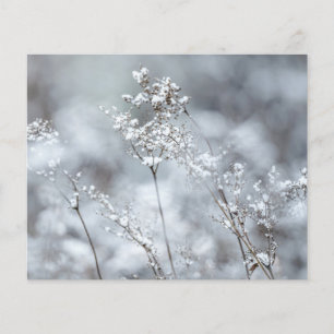 Dremy Winter Nature Scrapbook paper