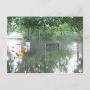 Drenched Bench Photo Postcard