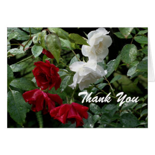 Drenched Roses Flower Thank You Card
