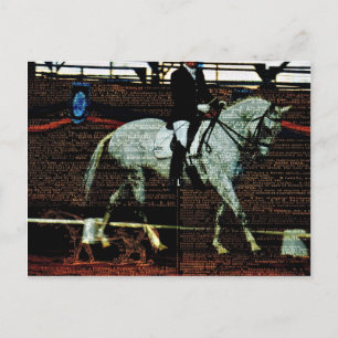 Dressage Art Postcard