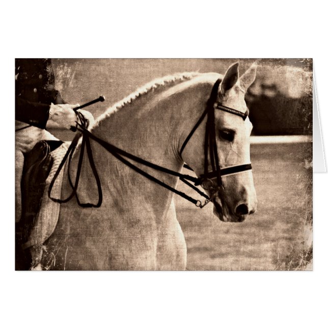 Dressage Grunge (Front Horizontal)