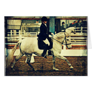 Dressage Horse and Rider