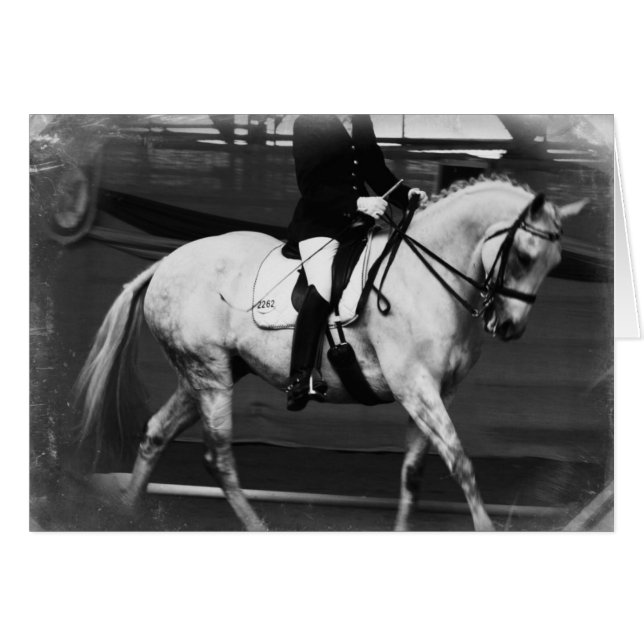 Dressage Horse Grunge (Front Horizontal)