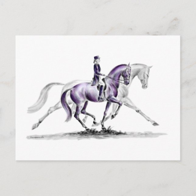 Dressage Horse in Trot Piaffe Postcard (Front)