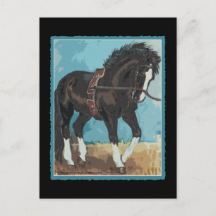 Dressage Horse Working on Lunge Line Equine Art Postcard