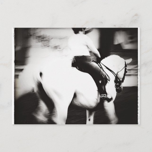 Dressage Postcard (Front)