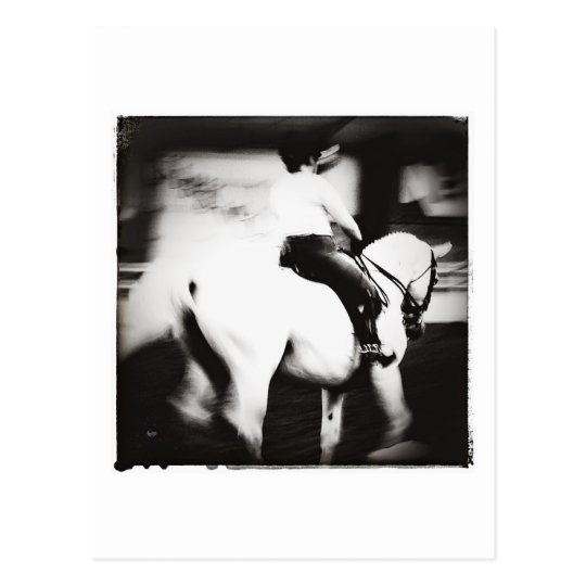Dressage Postcard