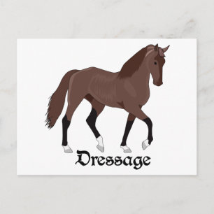 Dressage Postcard