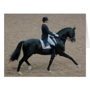 Dressage Show Horse
