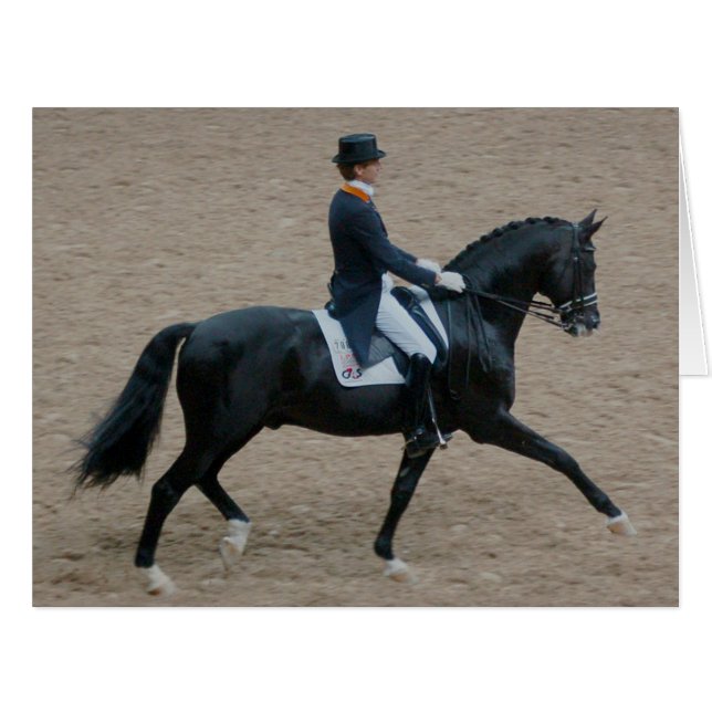 Dressage Show Horse (Front Horizontal)