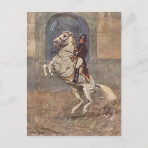 Dressage Show Horse Postcard