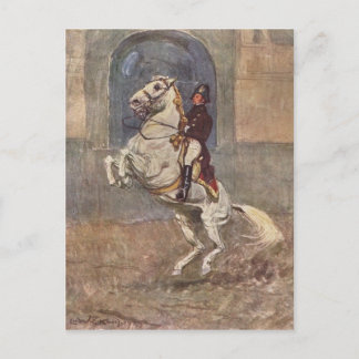 Dressage Show Horse Postcard