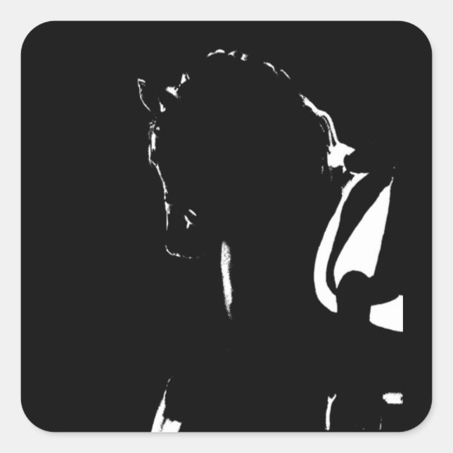 Dressage stickers (Front)