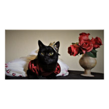 Dressed for the Ball 