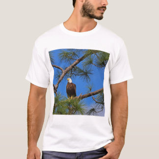 Dressed to Kill I T-Shirt
