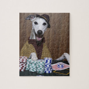 Dressed up Whippet dog at gambling table Jigsaw Puzzle