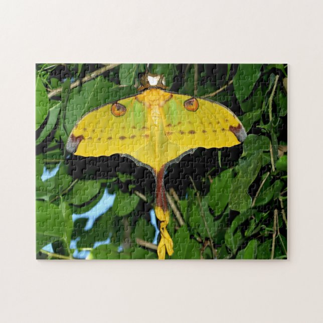 Drexel Butterfly. Jigsaw Puzzle (Horizontal)