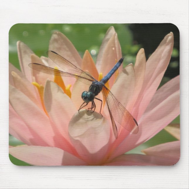 Drgonfly On Water Lily Mouse Pad (Front)