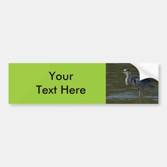 Dribbling Heron Bumper Sticker (Front)