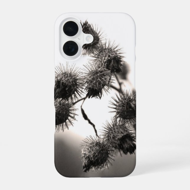 Dried burdock iPhone 16 case (Back)