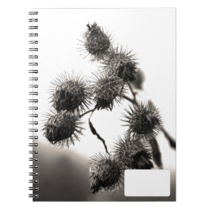 Dried burdock notebook