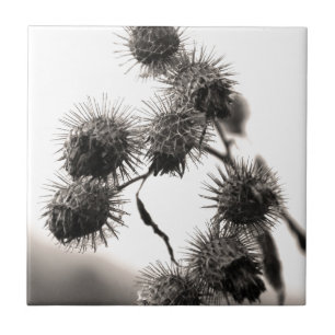 Dried burdock tile