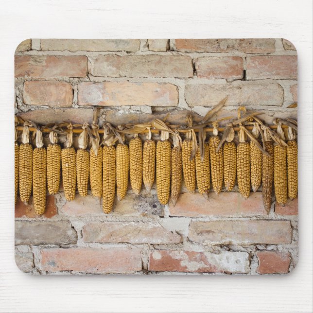 Dried Corn Cobs Mouse Pad (Front)