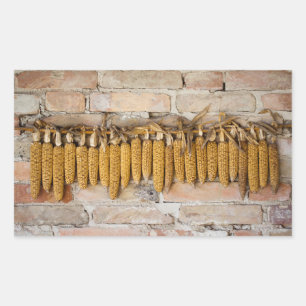 Dried Corn Cobs Rectangular Sticker
