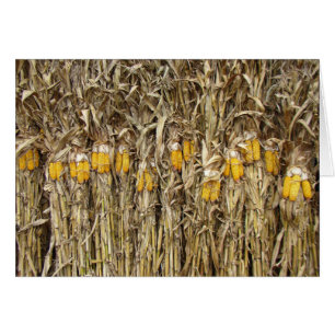 Dried Corn Stalk Decorations