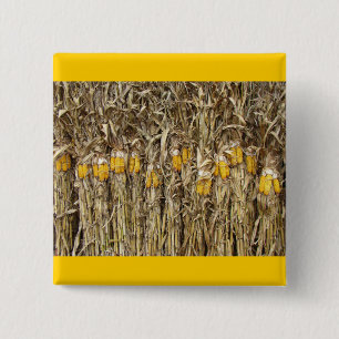 Dried Corn Stalk Decorations 15 Cm Square Badge