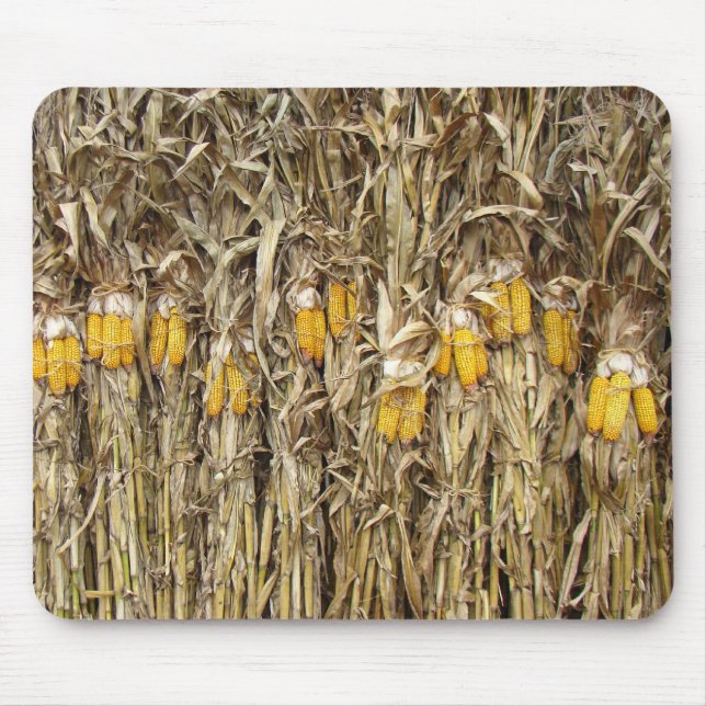 Dried Corn Stalk Decorations Mouse Pad (Front)