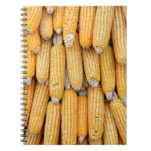 Dried corn that was stacked . notebook