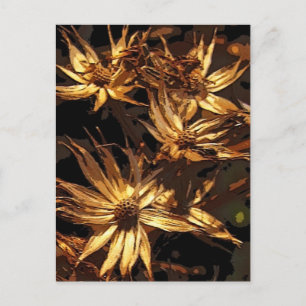 Dried Flower Abstract Postcard