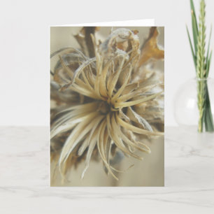 Dried Flower Note Card