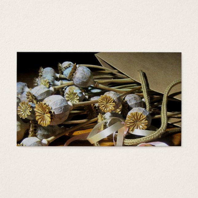 Dried Flower Poppy Pods (Front)