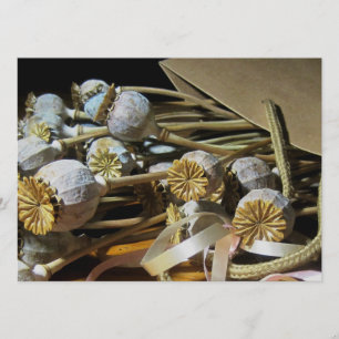 Dried Flower Poppy Pods Invitation